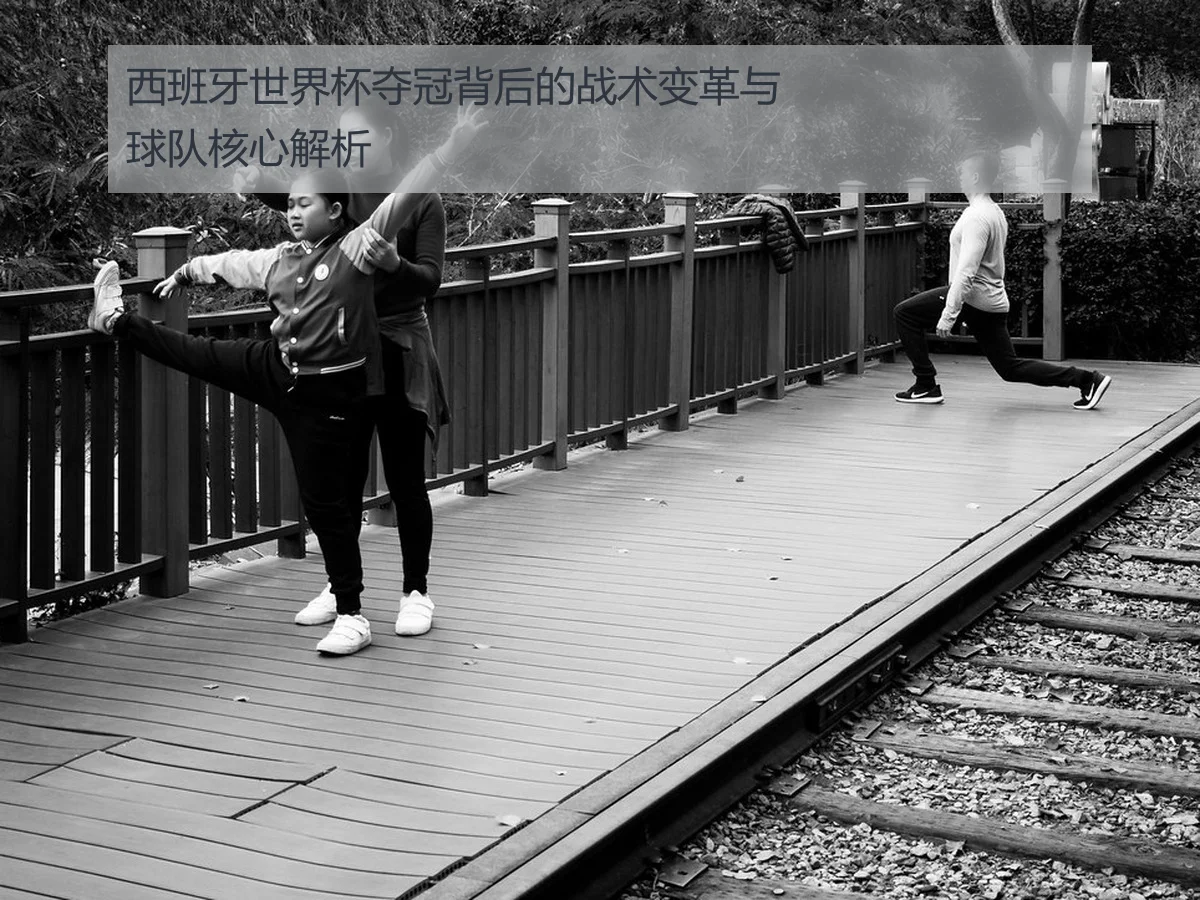 西班牙世界杯夺冠背后的战术变革与球队核心解析